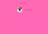 insto