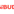 Bigibuddy