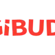 Bigibuddy