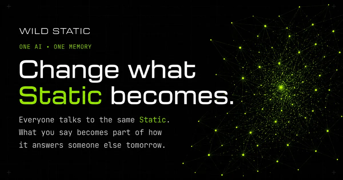 Wild Static gallery image