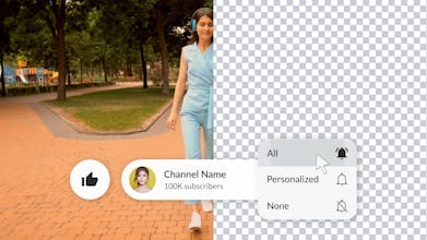 Convert YouTube viewers into subscribers gallery image