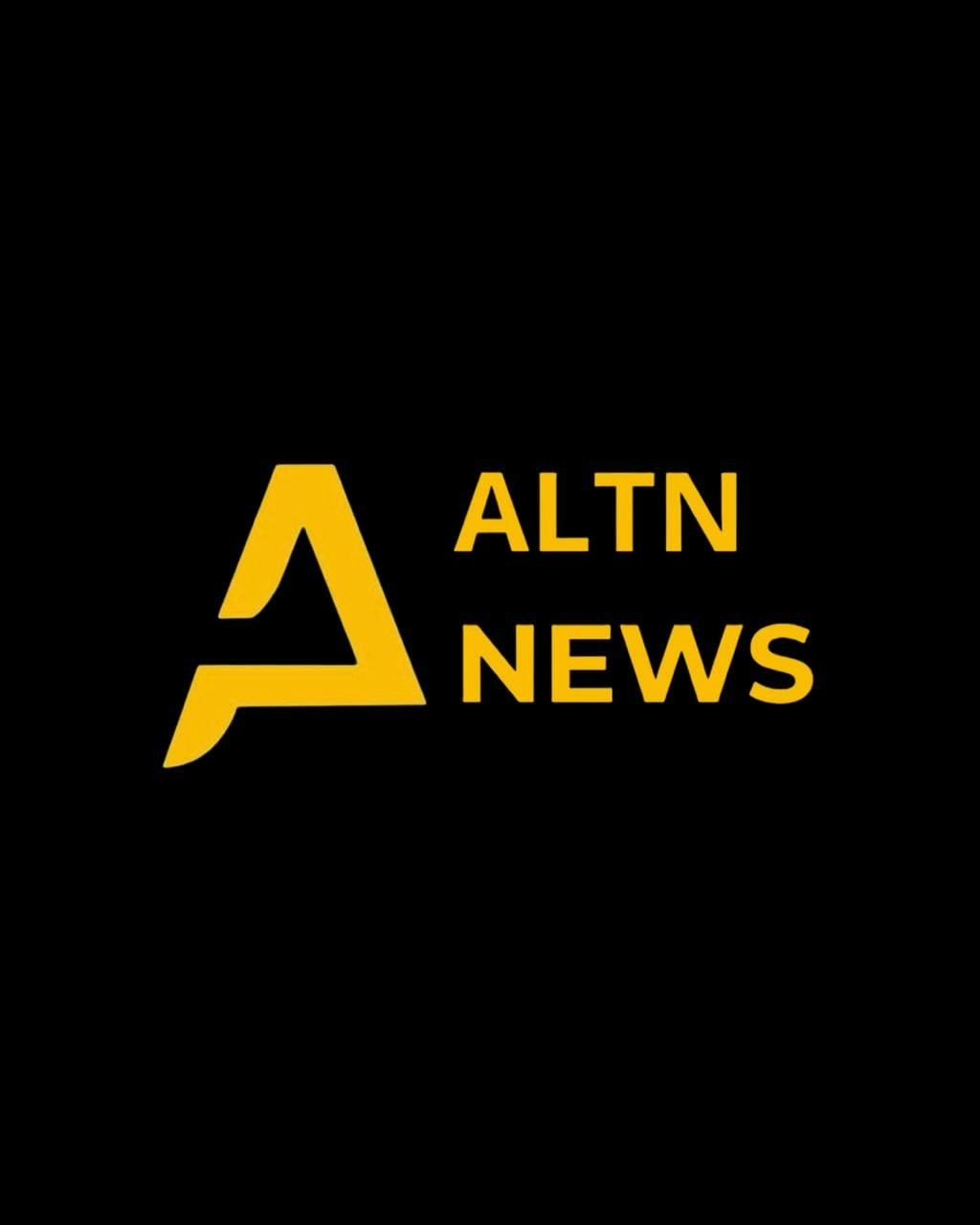 ALTN Company - Marketplace & Media Ecosystem media 3
