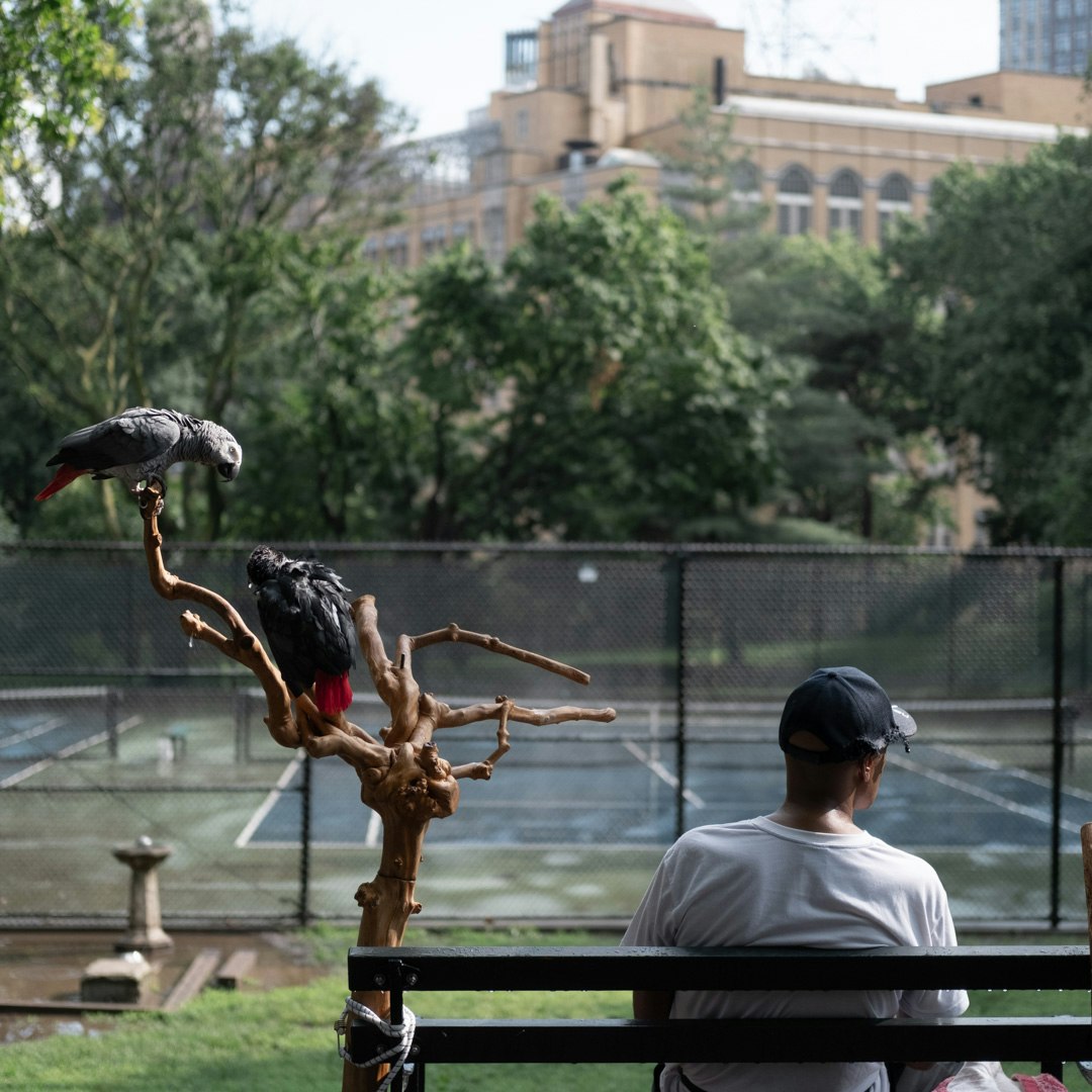 Silent Fragments media 2