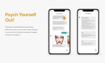 Sour Grape gallery image