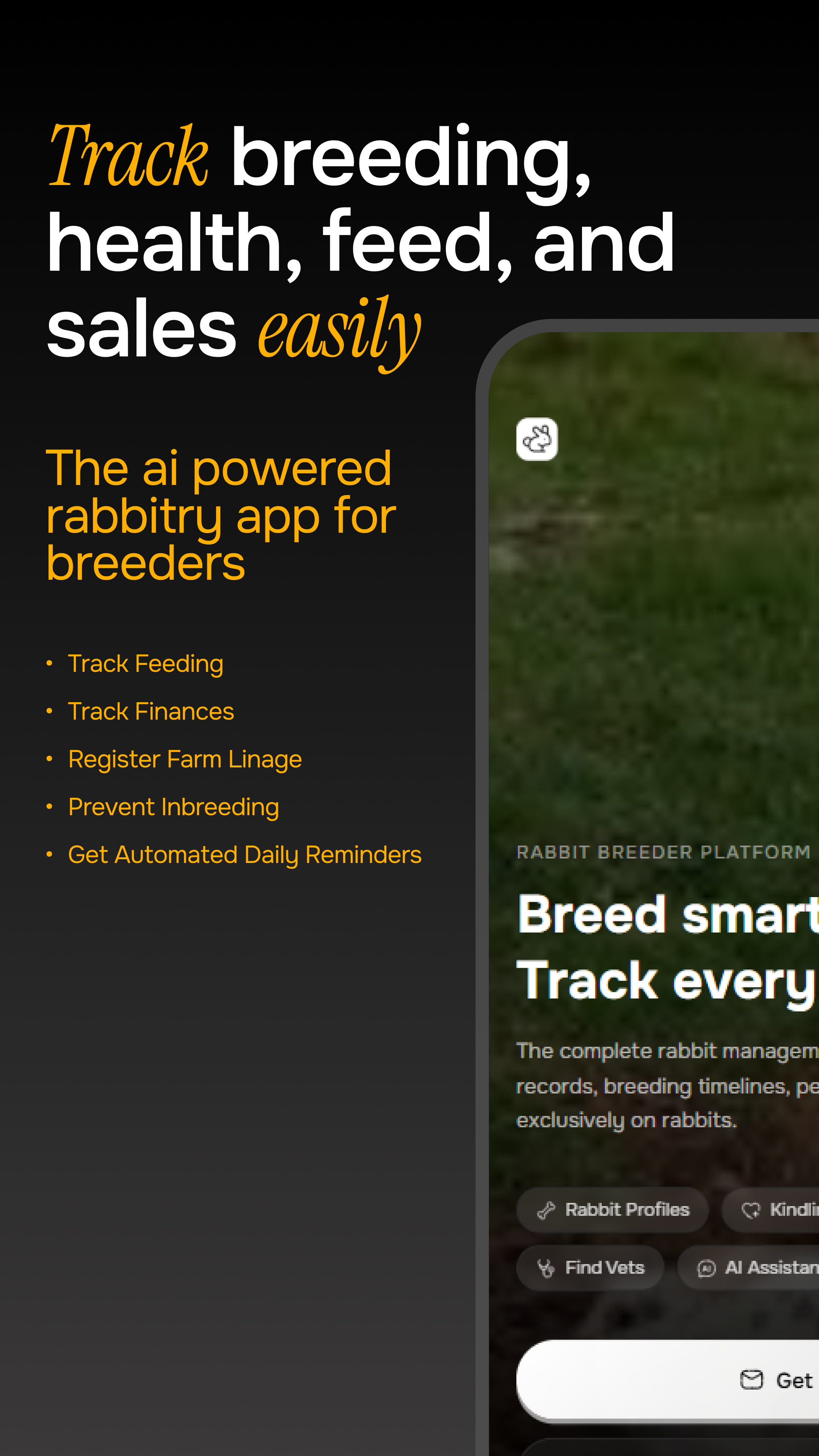 Famturf  gallery image
