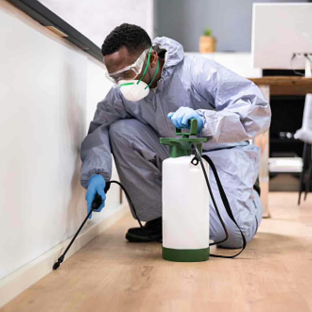 House Keeping Service media 3