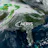 AerisWeather API