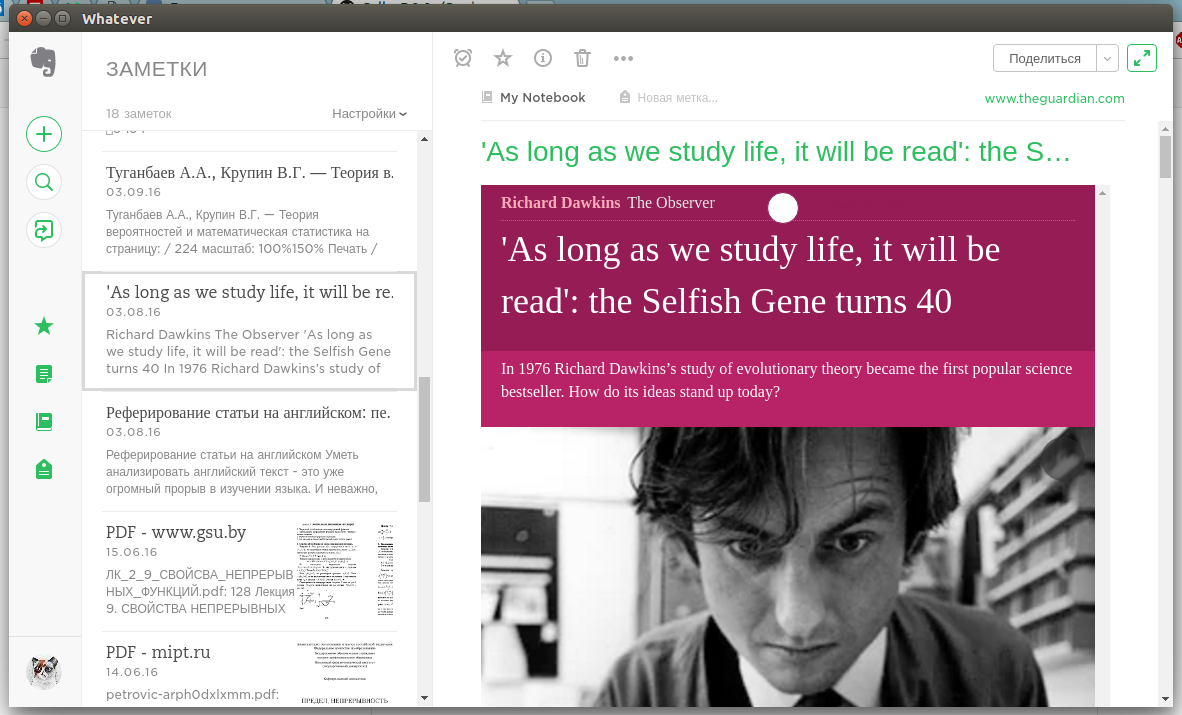 Whatever gallery image