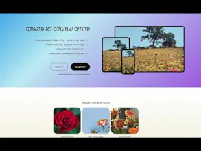 Speediv - Video hosting service gallery image
