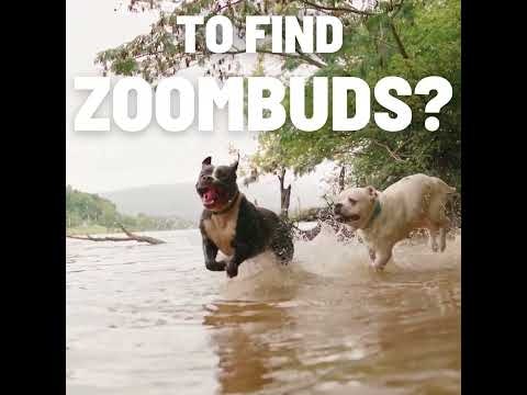 ZOOMIES Play™App gallery image