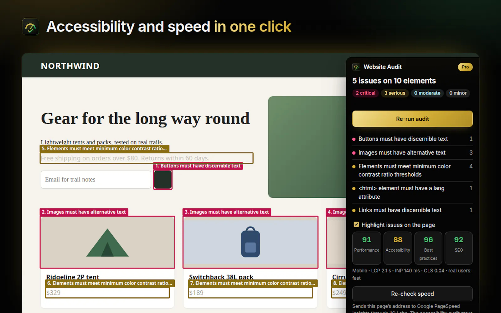 Website Audit screenshot 1