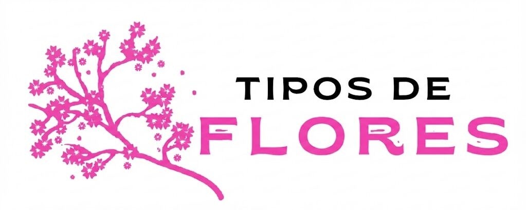 tipos de flores​ gallery image