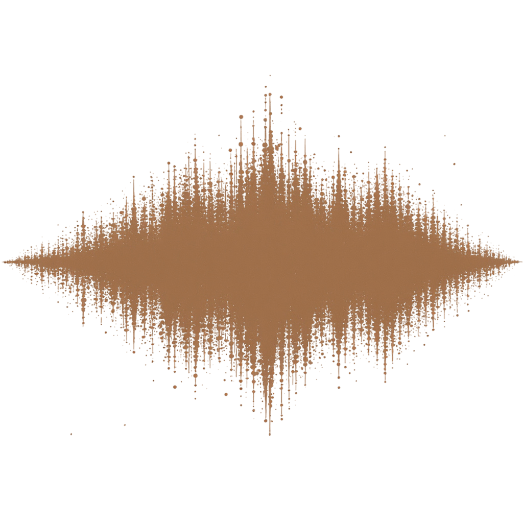 Noise Player logo