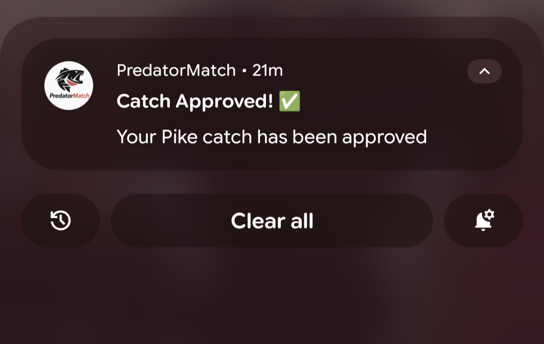 PredatorMatch: Un-Cheatable Fishing gallery image