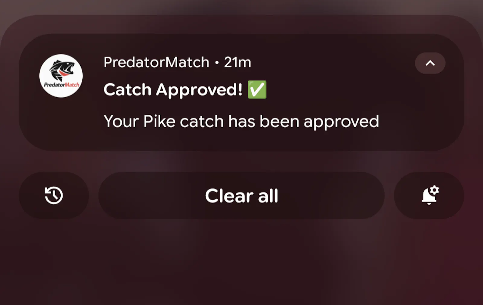 PredatorMatch: Un-Cheatable Fishing screenshot 3