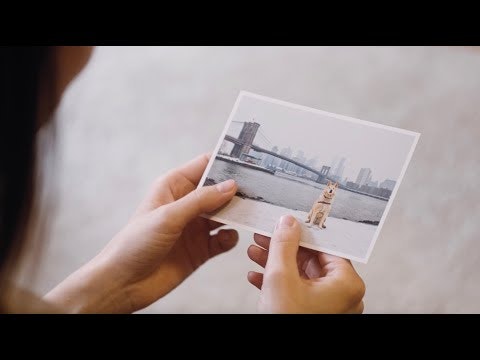 PenPal gallery image