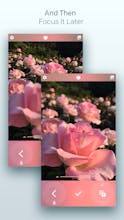 Live Focus gallery image