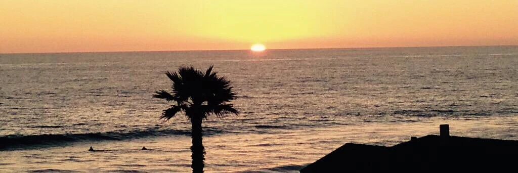 Napoleon Suarez cover