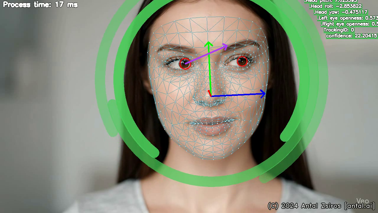 Antal.Ai Eye Gaze Tracker gallery image