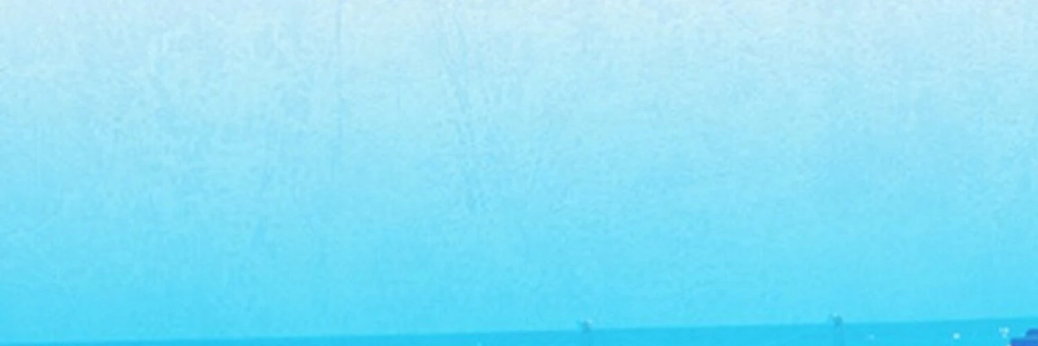 Quentin Mittelette cover