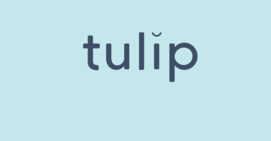 Tulip gallery image