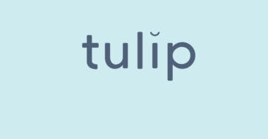 Tulip media 1