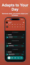 SuppleMindHQ gallery image