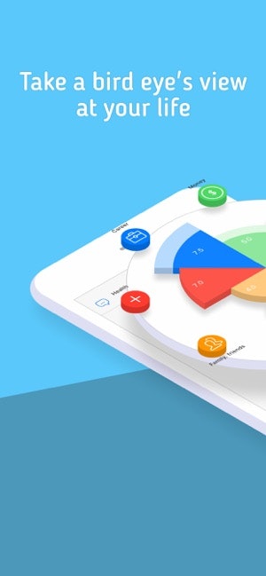 LifeWheel Image