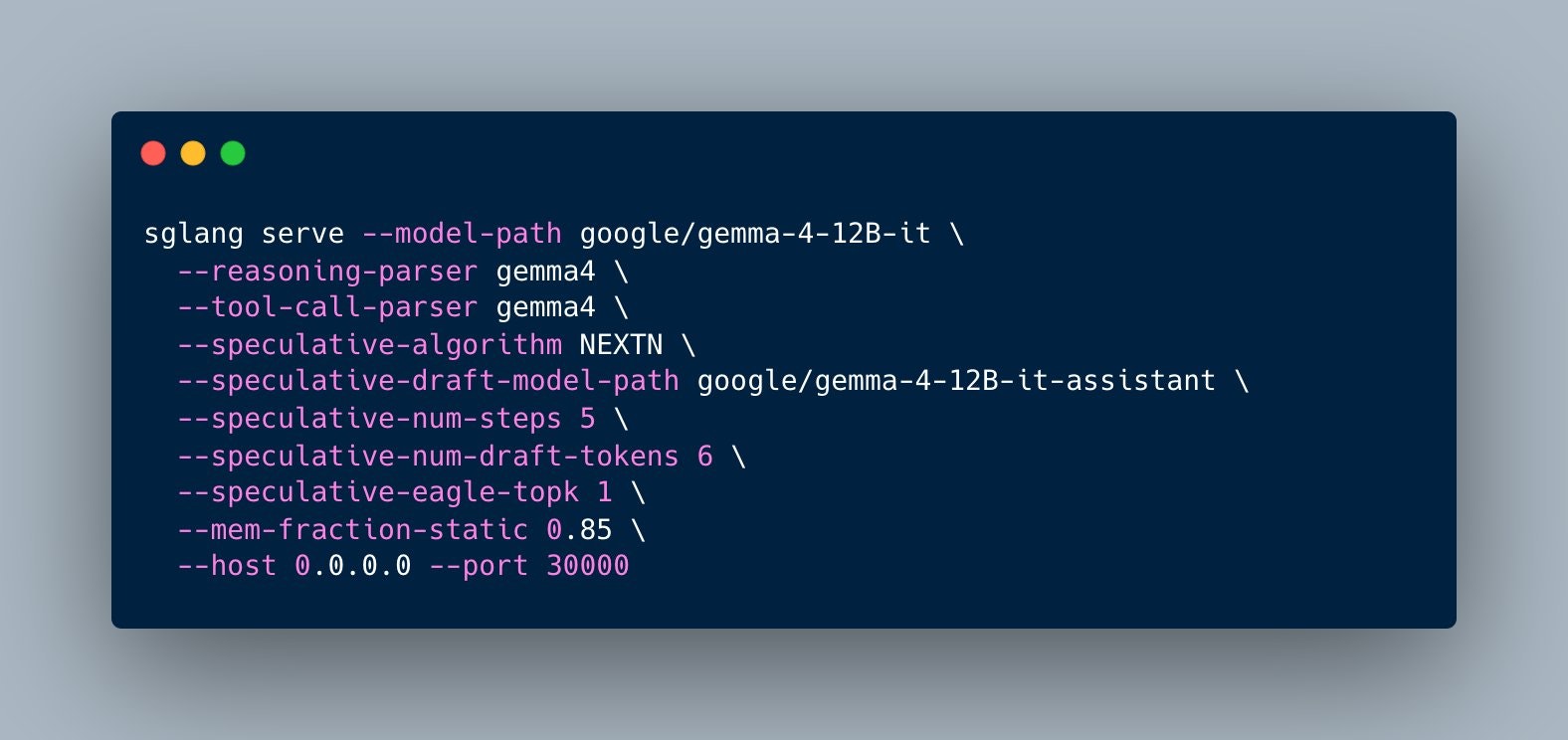 Google Gemma 4 12B gallery image