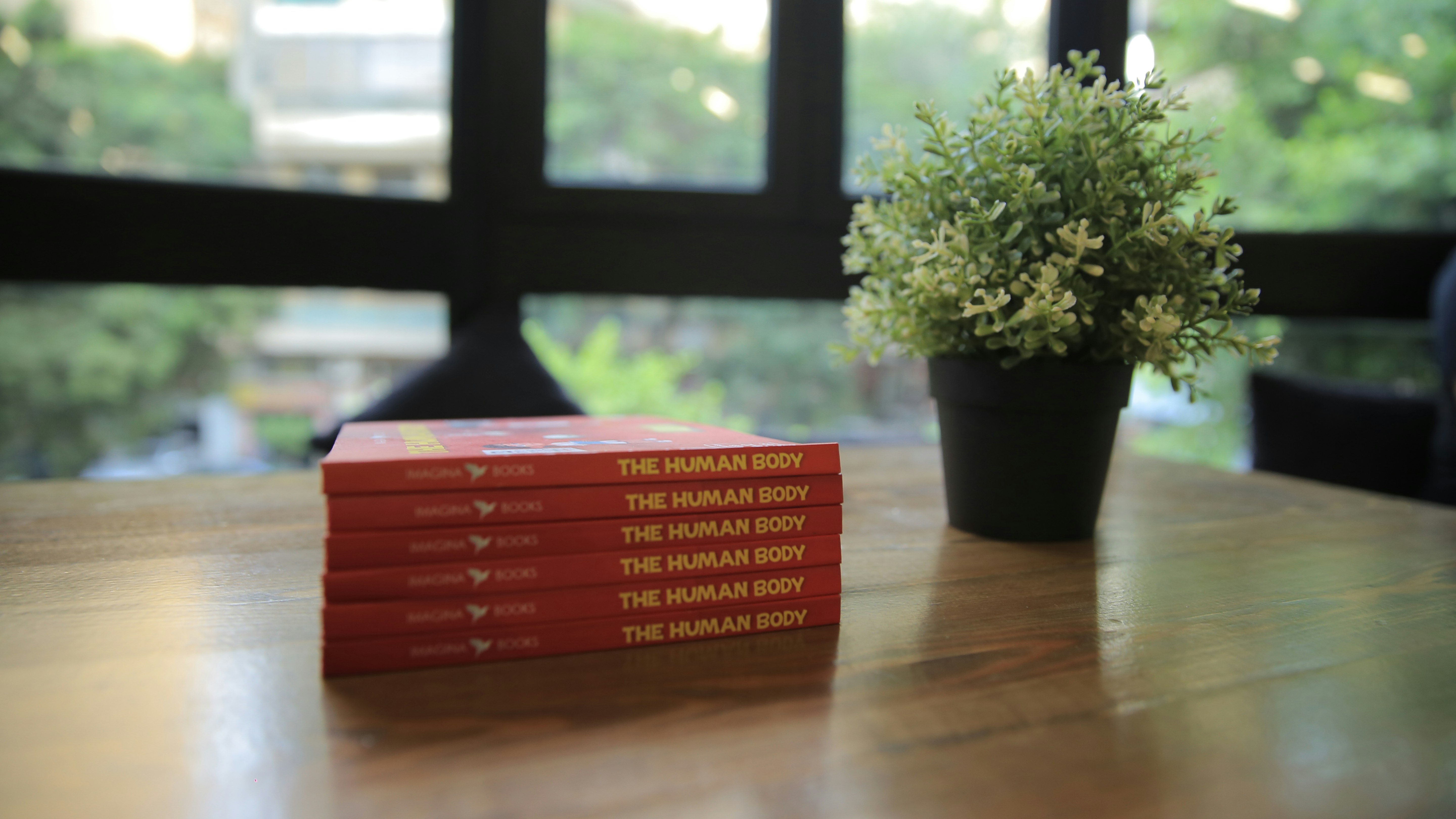 Imagina Books: The Human Body gallery image