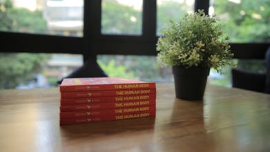 Imagina Books: The Human Body gallery image