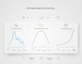 YearsToHuman gallery image