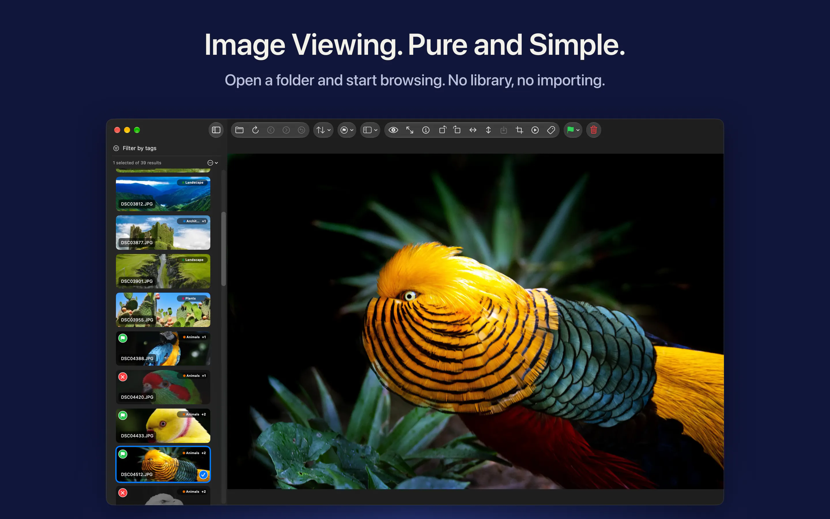 Picser gallery image
