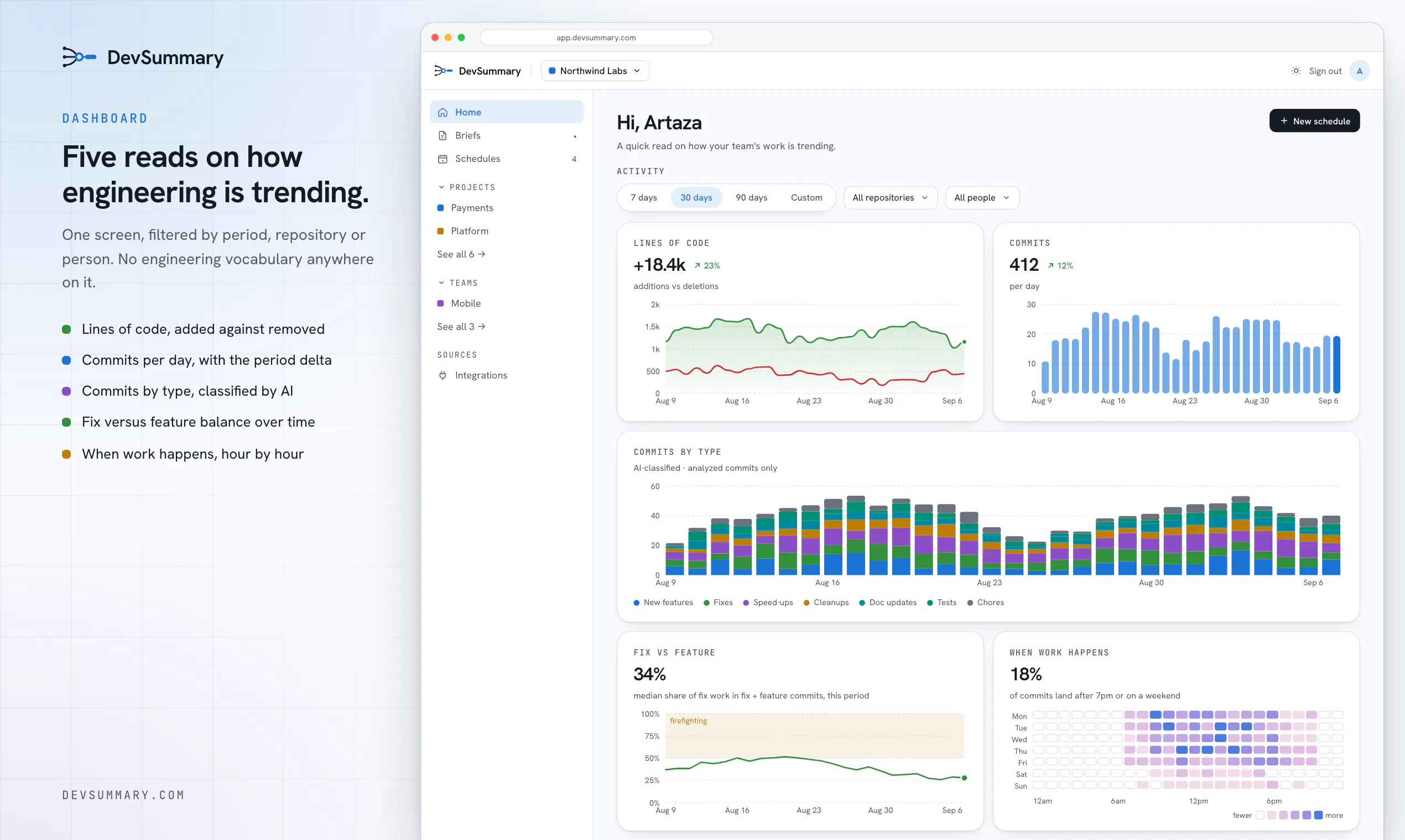 DevSummary screenshot 2
