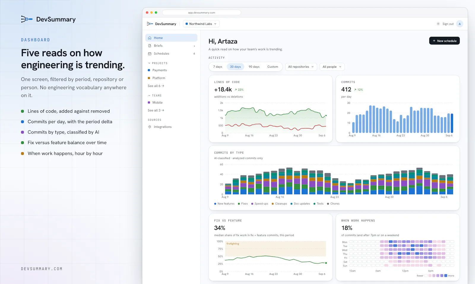 DevSummary screenshot 3