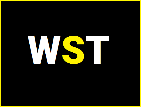 Team Web Solution