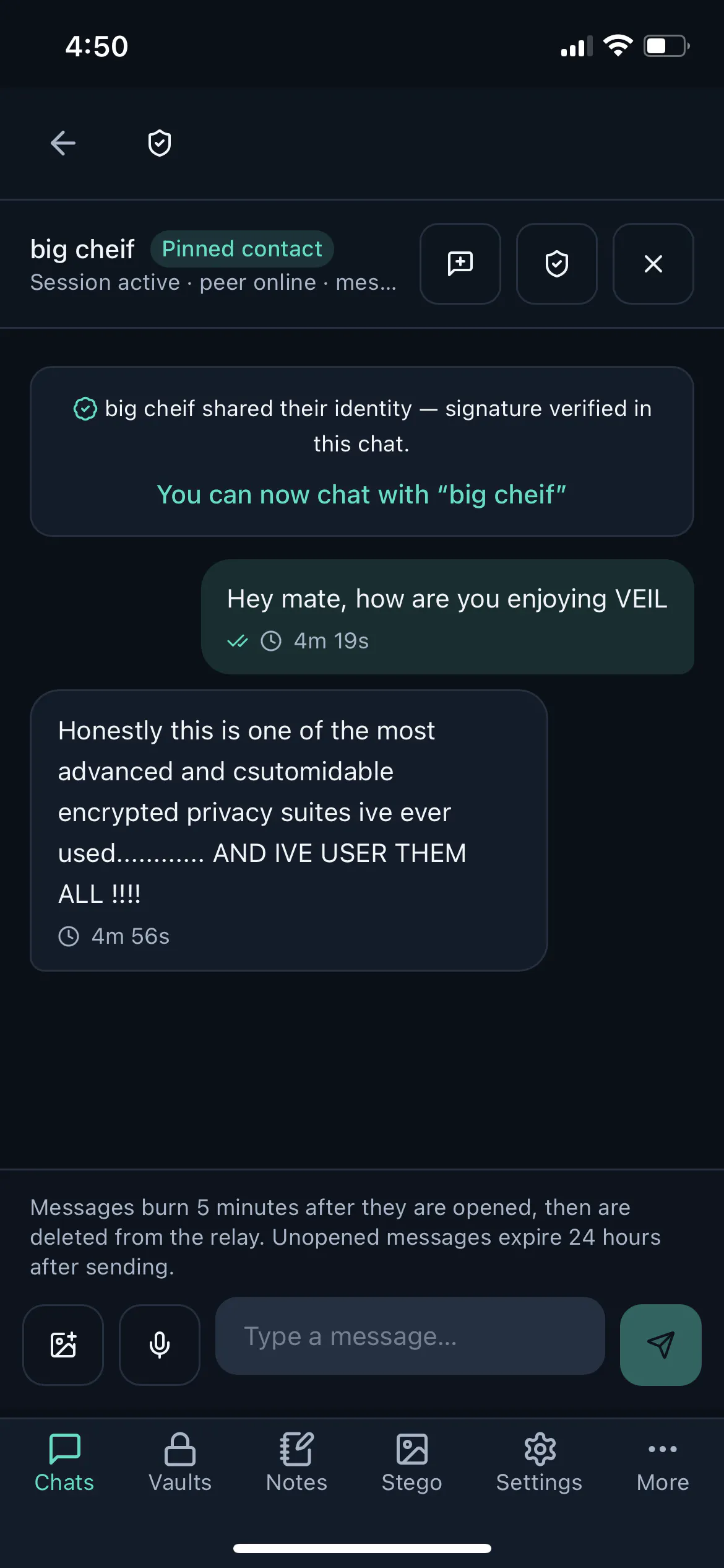 VEIL - More than Encrypted Messaging gallery image