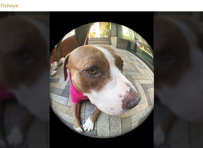 ShiftCam Multi-Lens Case gallery image