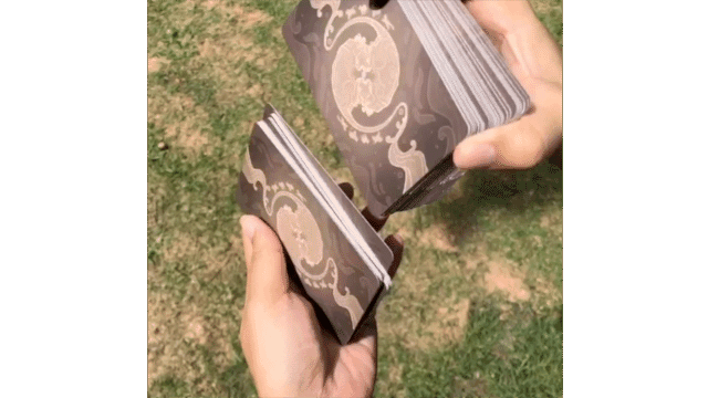 Panthera Tarot의 반환 미디어 16