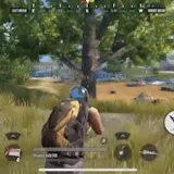 Rules of Survival Game