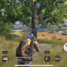 Rules of Survival Game