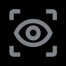 Agentic Vision in Gemini logo