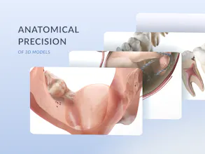 VOKA Anatomy Pro gallery image