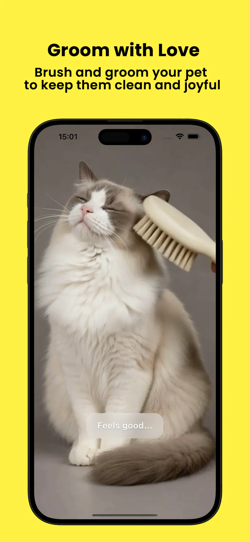 Petnori screenshot 10
