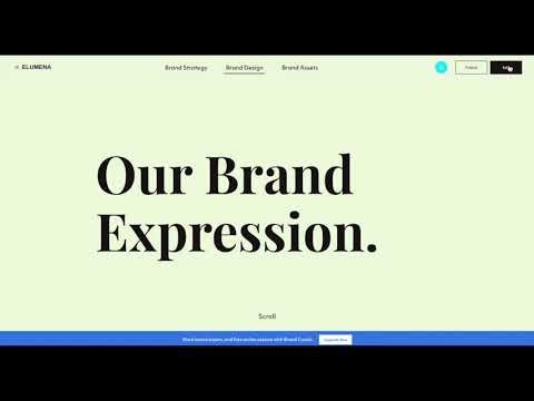 ZeBrand gallery image