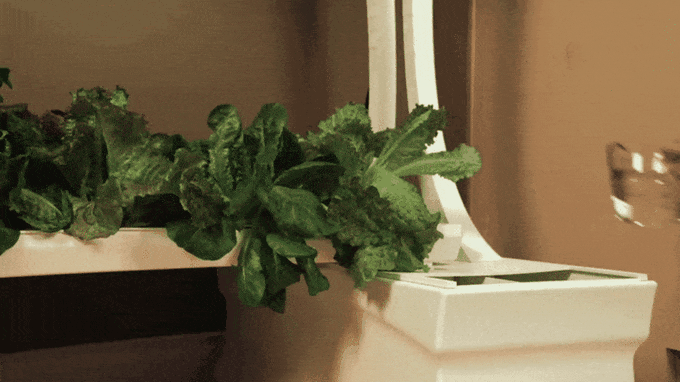 Hope Indoor Eden Garden - Product Information, Latest Updates, and ...