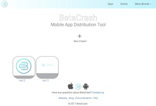 BetaCrash gallery image