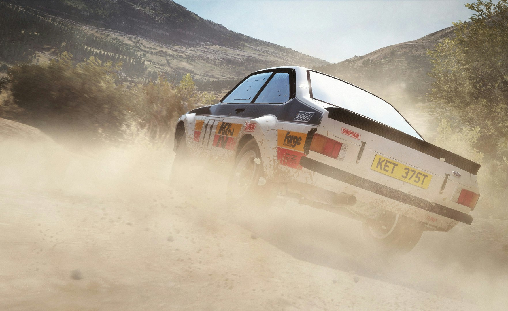 DiRT Rally gallery image