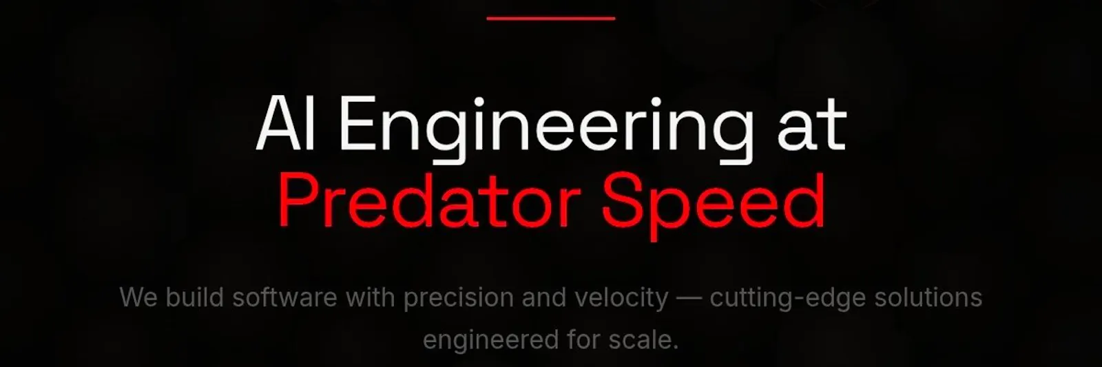 RaptorCode screenshot 3