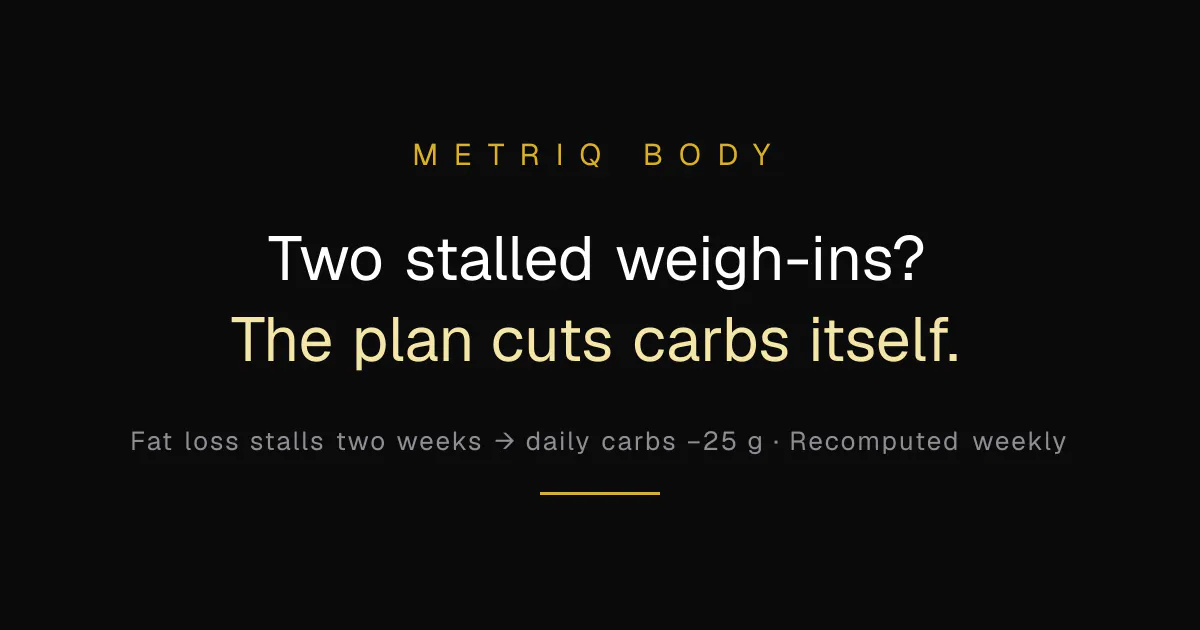Metriq Body gallery image